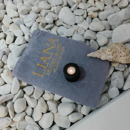 Hotel Liana &